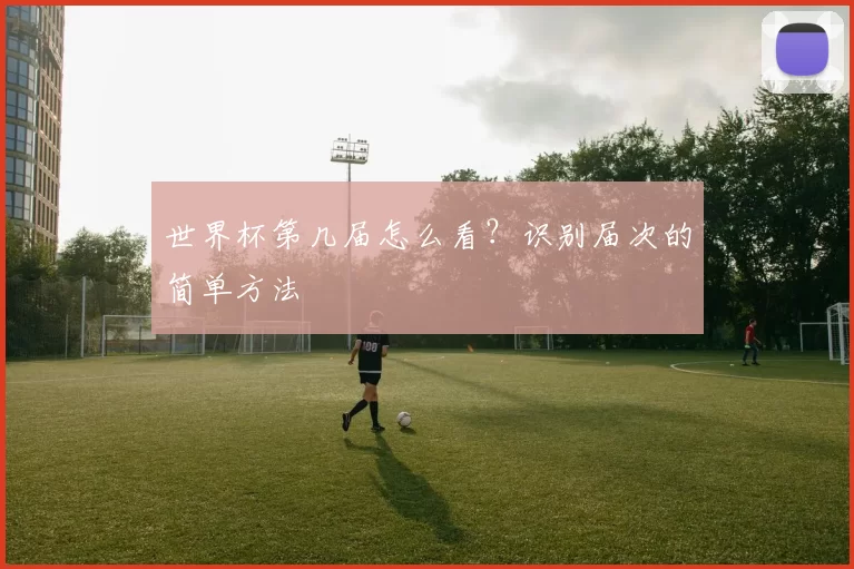 世界杯第几届怎么看？识别届次的简单方法