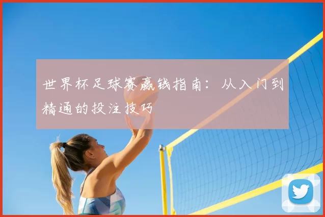 世界杯足球赛赢钱指南:从入门到精通的投注技巧
