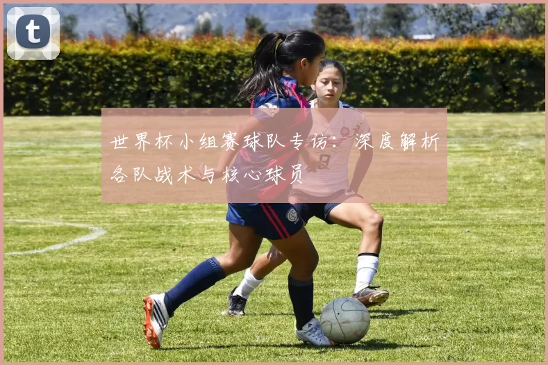 世界杯小组赛球队专访：深度解析各队战术与核心球员