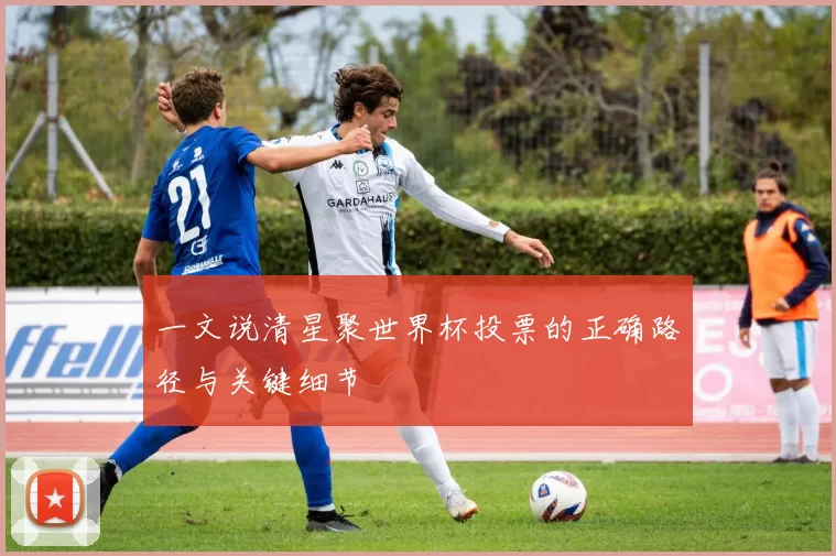 一文说清星聚世界杯投票的正确路径与关键细节