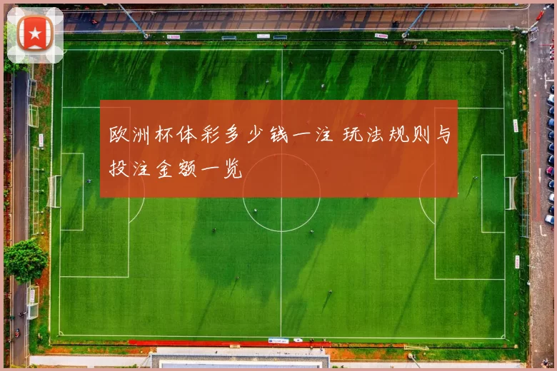 欧洲杯体彩多少钱一注 玩法规则与投注金额一览