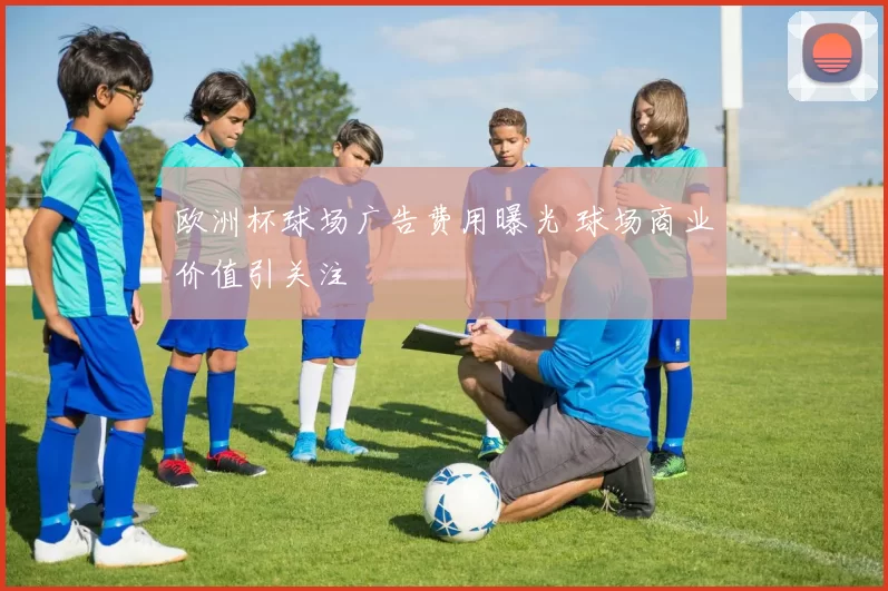 欧洲杯球场广告费用曝光 球场商业价值引关注