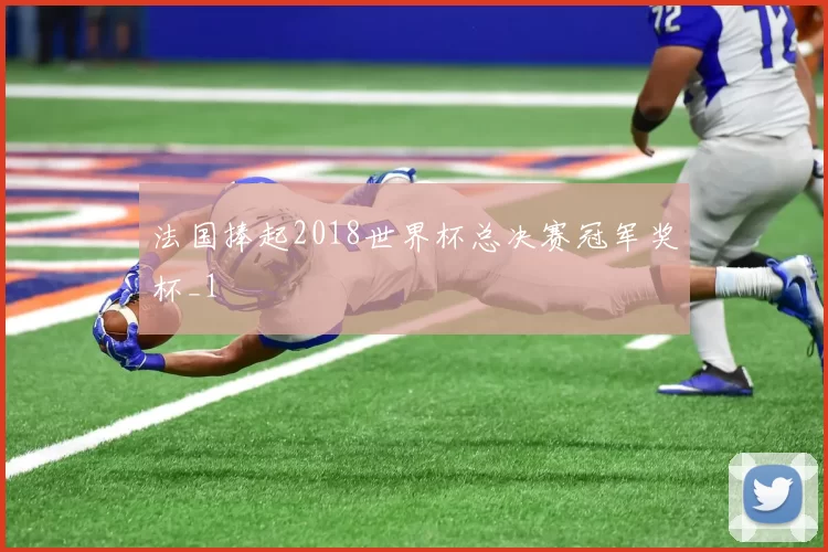法国捧起2018世界杯总决赛冠军奖杯_1