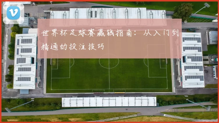世界杯足球赛赢钱指南:从入门到精通的投注技巧