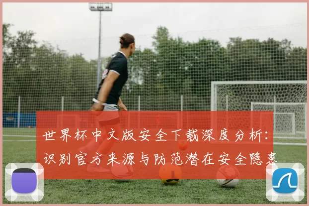 世界杯中文版安全下载深度分析:识别官方来源与防范潜在安全隐患